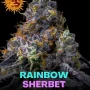 Насіння конопель Rainbow Sherbet від Barney's Farm